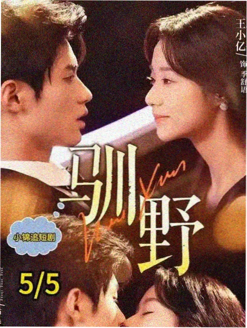 秋霞网电影-狂飙2